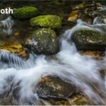 Slooth: Understanding the Slow-Moving Wonder of Nature