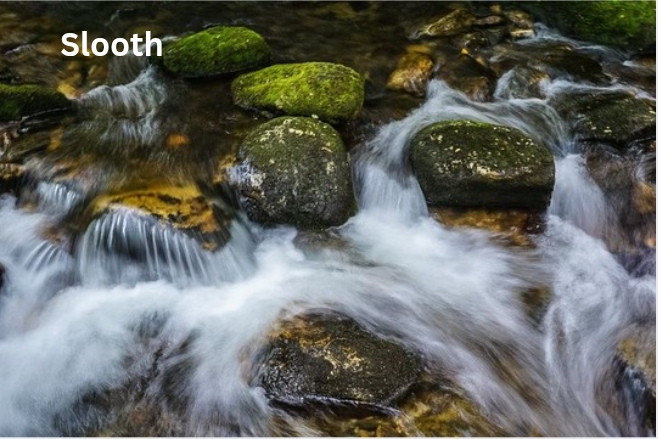 Slooth: Understanding the Slow-Moving Wonder of Nature